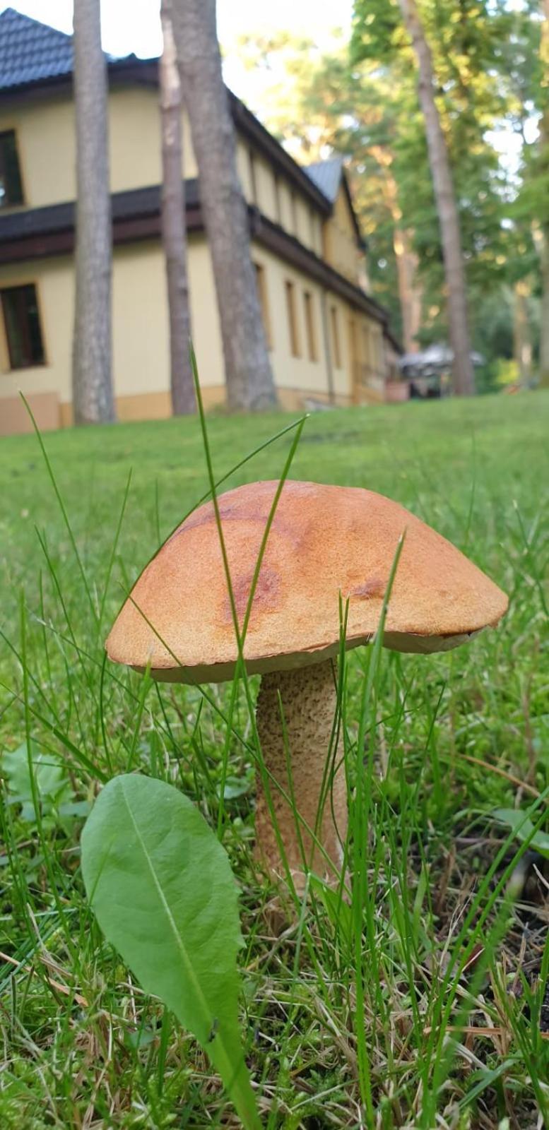 Toscana Camp Погожелица Экстерьер фото